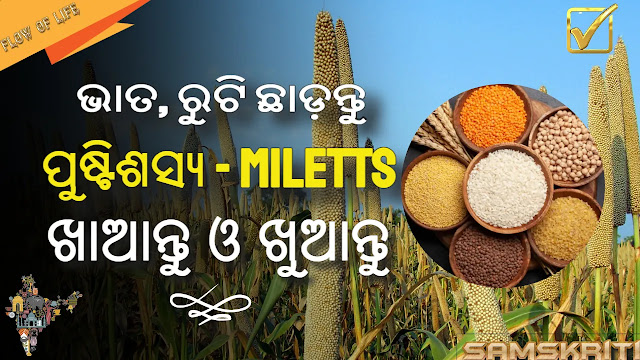 Why Satvic Food millets include in your diet | Samskriti