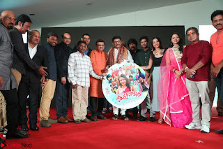 Mixture Potlam Movie Audio Launch Feb 2017   007.JPG