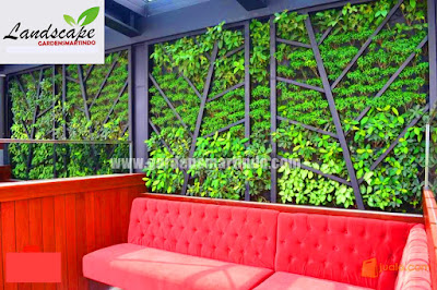 Jasa Tukang Taman Vertikal / Vertical Garden Surabaya