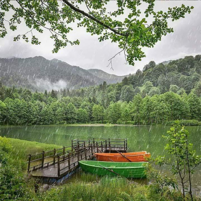 Artvin-Borçka Turu