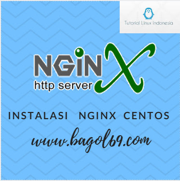 Install nginx  Centos 