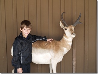 Sven with a Proghorn deer