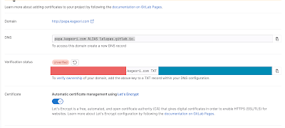 GItLab PagesのDNS設定画面