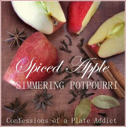 CONFESSIONS OF A PLATE ADDICT Spiced Apple Simmering Potpourri2b
