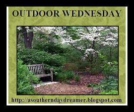 Outdoor-Wednesday-button_thumb1_thum