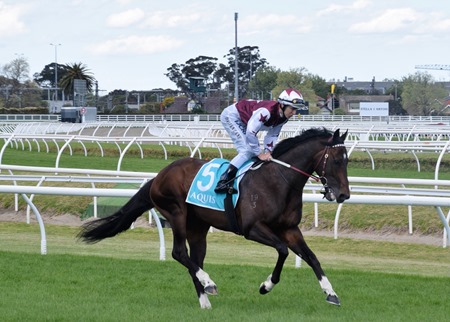toorak_land of plenty 4