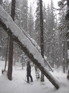 Craig skiing down narrow trail off of Adam's Avenue