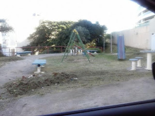 Limpeza e capinação  da Rua Nelson Galo 