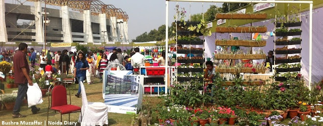 Noida Diary: Garden Shopping at 30th Noida Flower Show