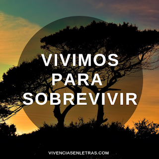 frases-reflexionar