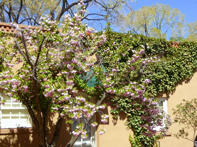 P1130797