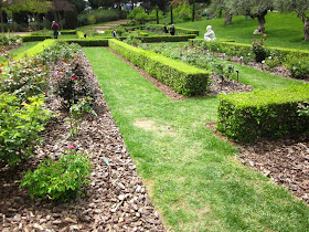 Cervantes Rose Garden