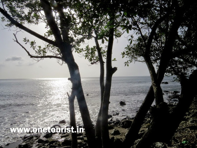 andaman beaches