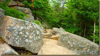 Gorham mt hike_031