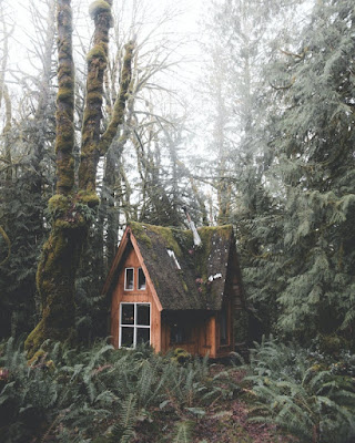 Photo Of Wooden House In Forest | Royalty Free Nature Pic