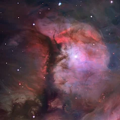 M43  Nebula