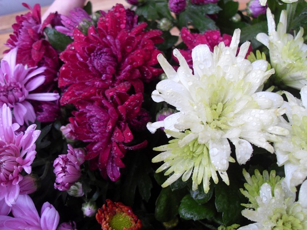 glade blomster
