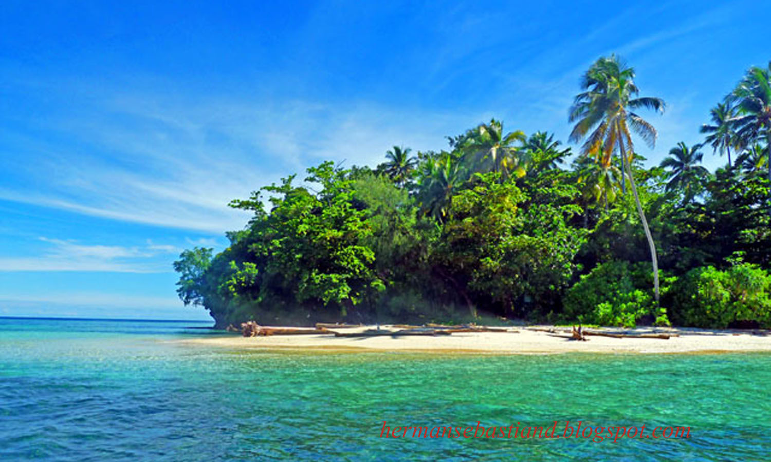 Herman s Blog Taman Nasional  Teluk Cendrawasih Papua