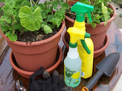 Home And Garden Pesticides In The Us By