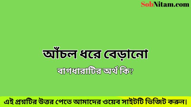 আঁচল ধরে বেড়ানো বাগধারাটির অর্থ কি? - SobNitam.com