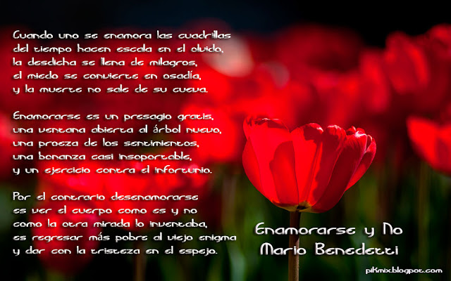 Enamorarse y no • Mario Benedetti  • Poema