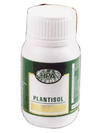 Katalog Produk HPA: Plantisol (Herba Kencing Manis)