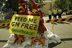 Photo of people dressed as chickens protest GM animal feed