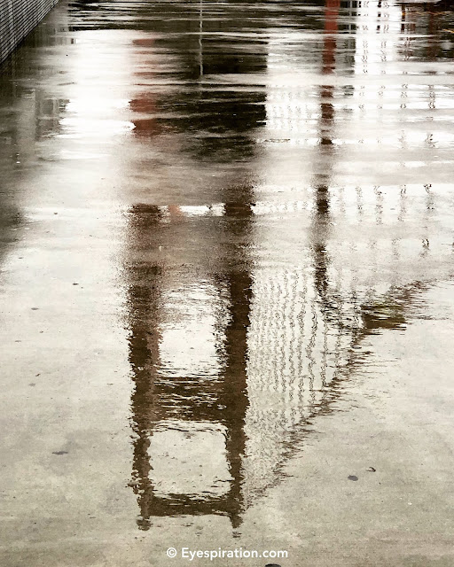 Golden Gate Bridge reflection 