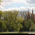 Frühling an der Holzlände