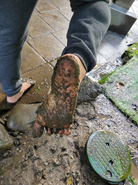 泥巴腳最健康 泥巴能夠紓解壓力