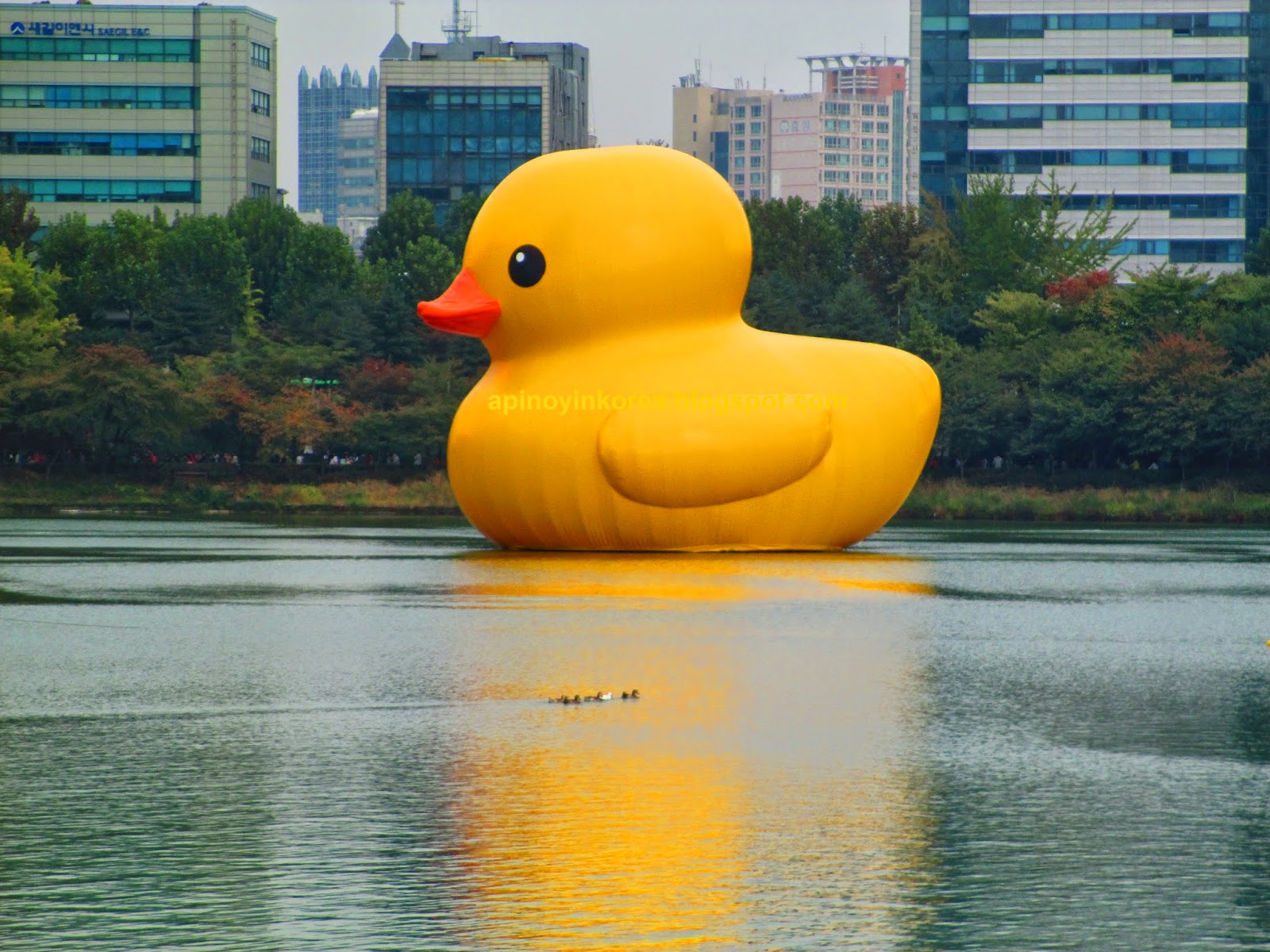 A Pinoy in Korea: A Yellow Rubber Duck On Seoul's Seokchon Lake