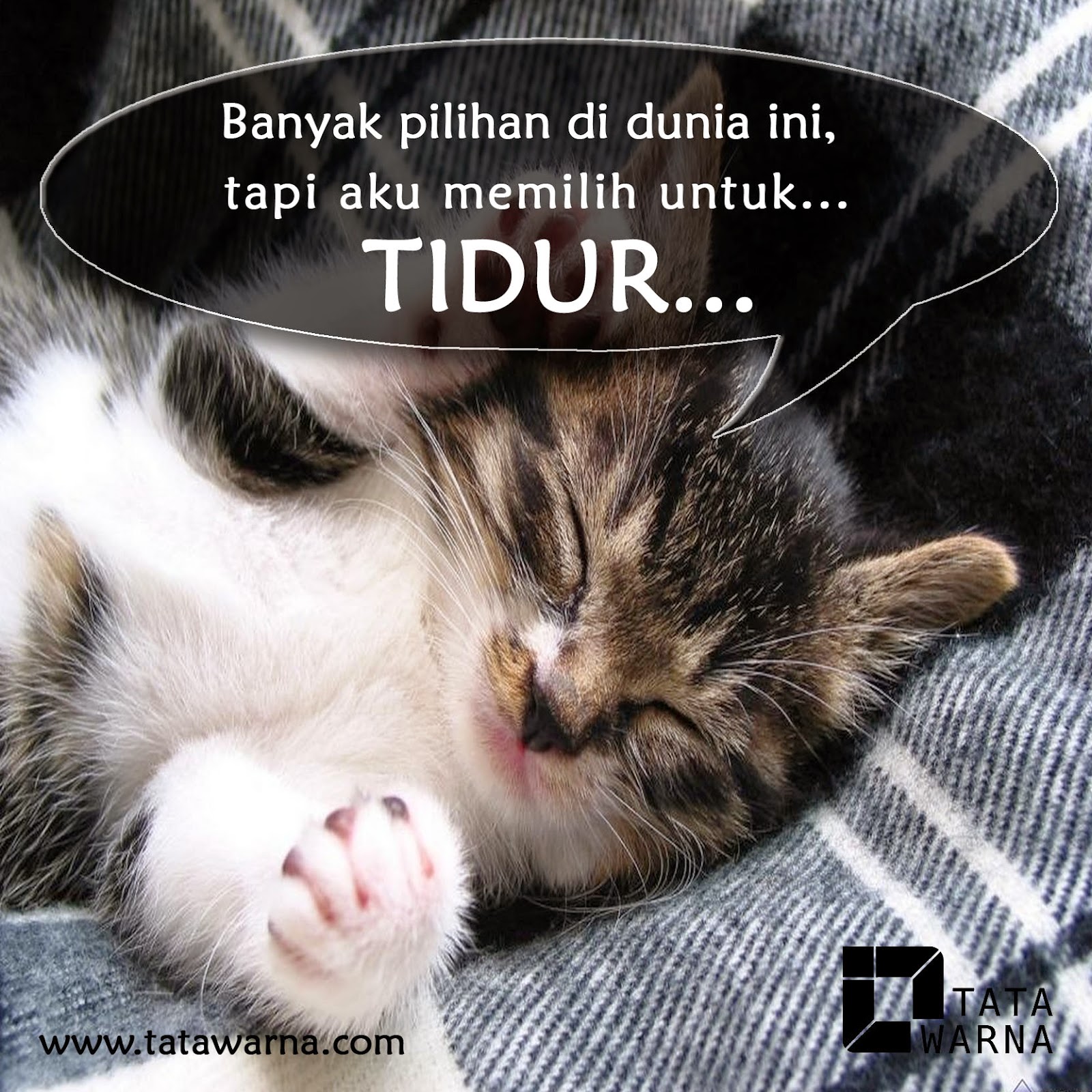 Kumpulan DP BBM Gemes Dan Lucu Gokil Abis