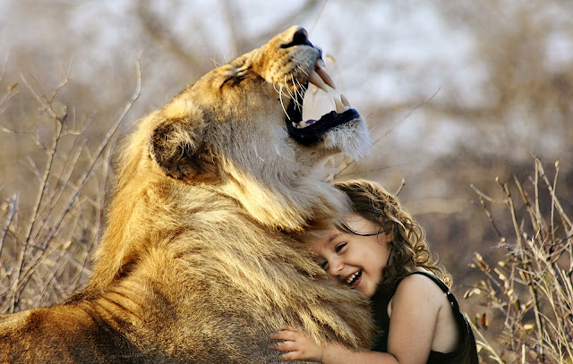 Dziewczynka przytulająca się do lwa