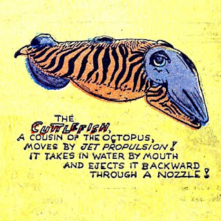 Line drawing of an orange and purple cuttlefish on yellow background. Caption reads: "The CUTTLEFISH, a cousin of the octopus, moves by jet propulsion! It takes in water by mouth and ejects it backward through a nozzle!"