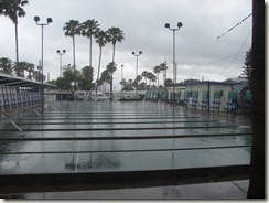 DSC00115
