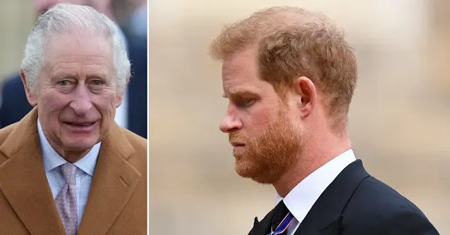 King Charles' Friend Publicly Criticizes Harry After Duke's On-Air Remarks