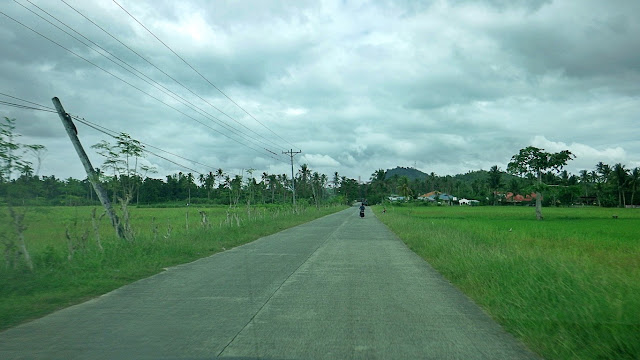 rice fields between Villaba and Tabango Leyte