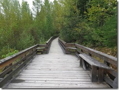 IMG_0388 (640x480)
