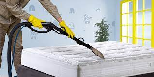 Pest Control Cleaning