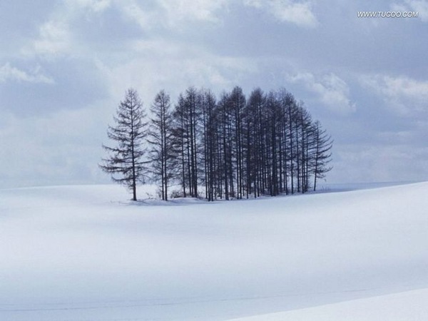 Japan_Hokkaido_Travel_ml0021