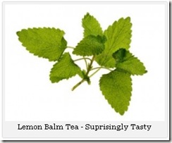 Lemon Balm Tea 01