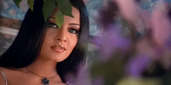 Janasheen (2003) Full Music Video Songs Free Download And Watch Online at worldfree4u.com
