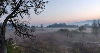 A misty start to one of the days