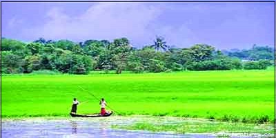 আমাদের দেশের সবুজ শ্যামল প্রাকৃতিক সৌন্দর্য কার না ভাল লাগে ?