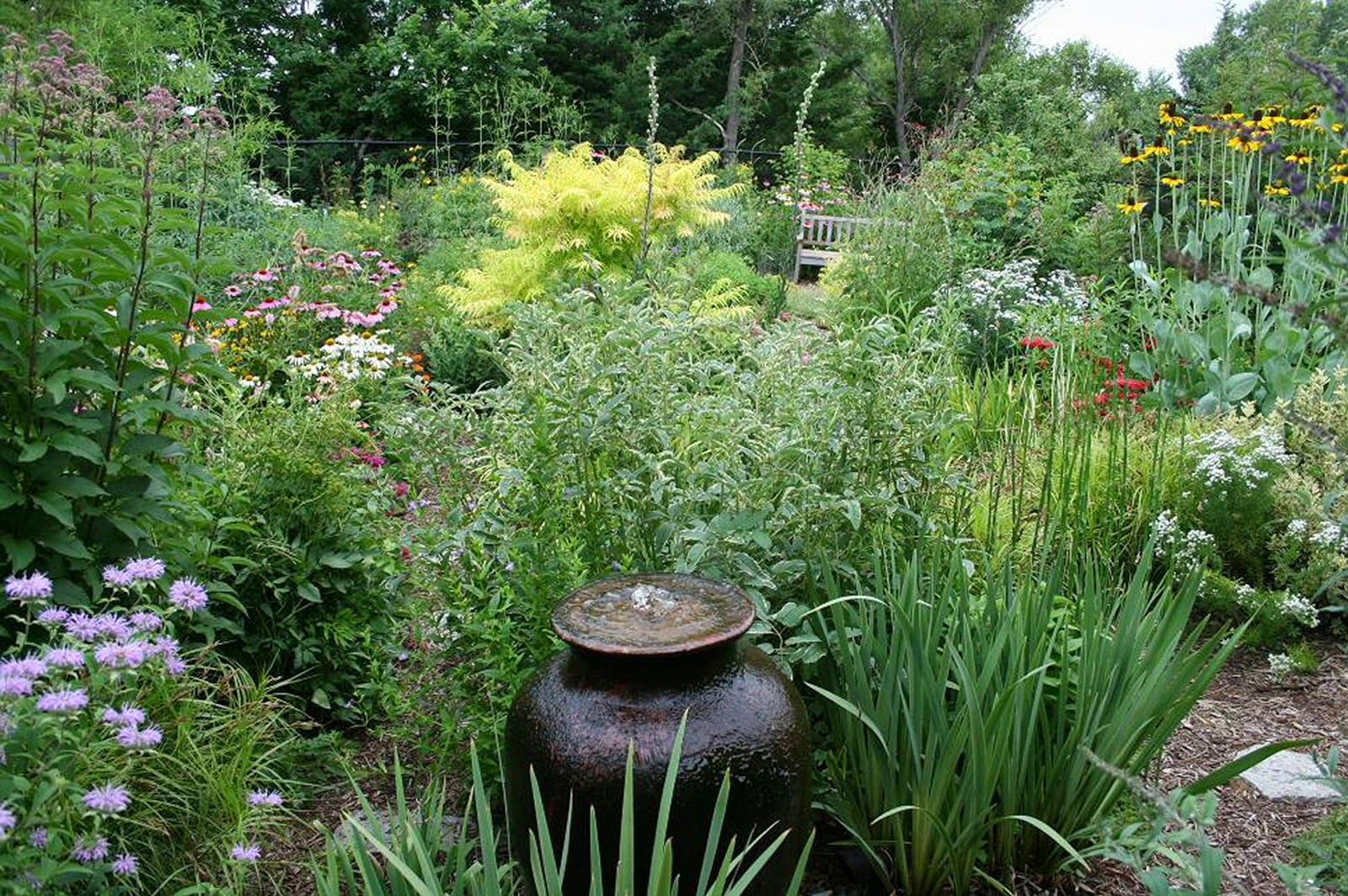 T h e | D e e p | M i d d l e: Gardening with Natives as a Moral Act -- A Big Rant T h e | D e e p | M i d d l e: Gardening with Natives as a Moral Act -- A Big Rant on Native Plant Landscape Design
id=45805