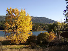 White Lake