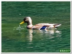 20130930_090316_0281_Japan