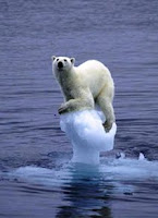 Es Kutub Selatan Menghilang Lebih Cepat