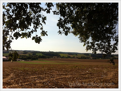 Aussicht nach Scheyern