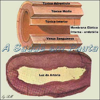 A esclerose das artérias, quando se dá devido à deposição de placas de ateromas (gorduras) em suas paredes internas, recebe o nome de aterosclerose